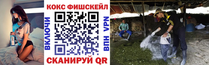 omg как войти  Шелехов  Кокаин Эквадор 