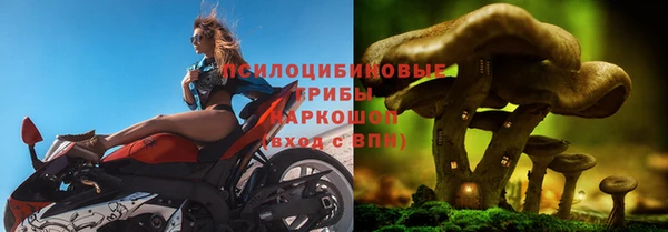 винт Алзамай