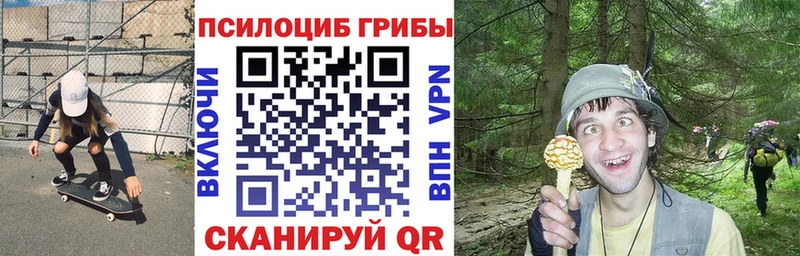 Псилоцибиновые грибы Psilocybe  сколько стоит  Шелехов 